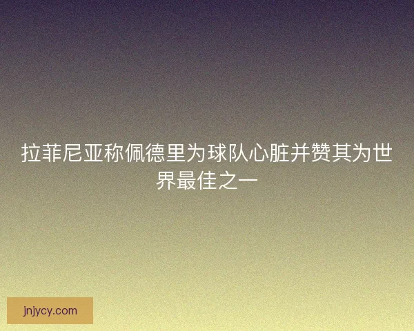 拉菲尼亚称佩德里为球队心脏并赞其为世界最佳之一