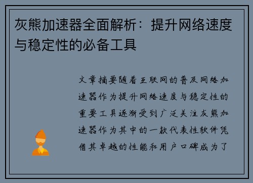 灰熊加速器全面解析：提升网络速度与稳定性的必备工具